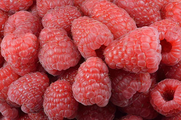A close overhead view of ripe red raspberries heaped together and filling the whole frame, each berry showing its individual beaded drupelets and fine pale hairs.