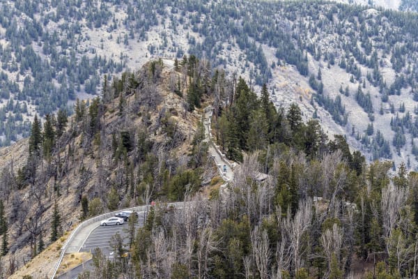 The Beartooth Highway switching back up a timbered ridge in Rock Creek canyon, seen from the Rock Creek Vista overlook