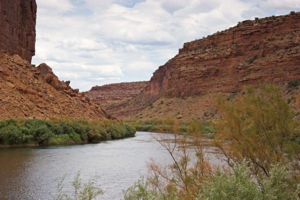 The Colorado River curving between red sandstone canyon walls, a dark cliff face rising close on the left and a banded, stepped wall on the right. Green tamarisk and willow crowd both banks and the foreground, under broken white cloud.