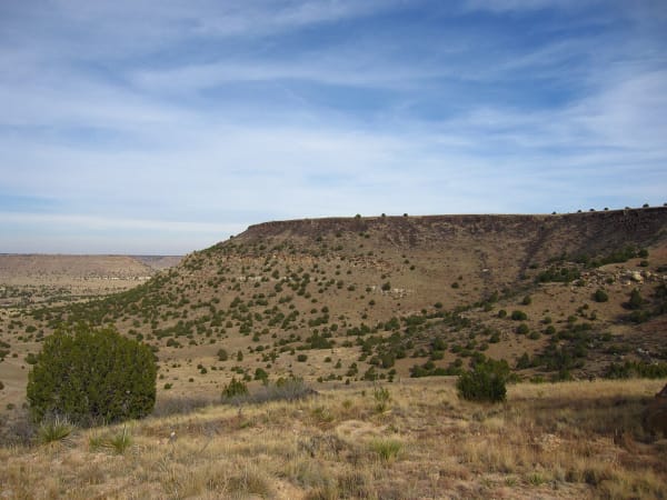 The juniper-dotted flank of Black Mesa rising above the grassland of Cimarron County.