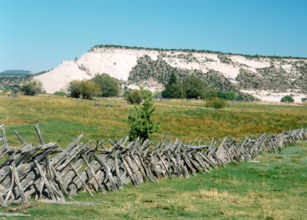 Pasture at Boulder, Utah — a juniper buck-and-pole fence running across green grass with a single shrub standing mid-field, a white slickrock bench scattered with pinyon rising behind it under plain blue sky.