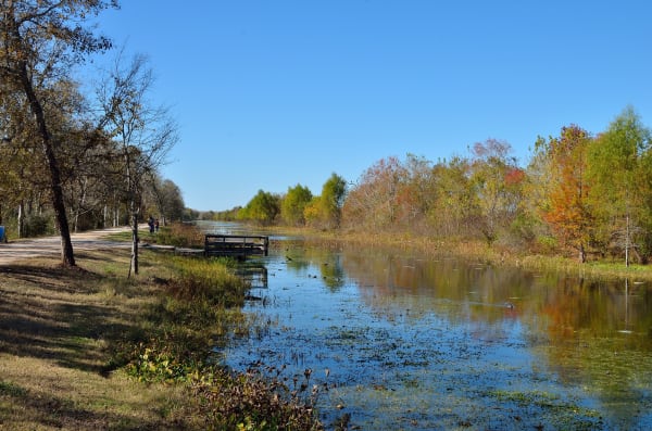 A still lake reflecting autumn trees and blue sky beside a trail at Brazos Bend State Park.