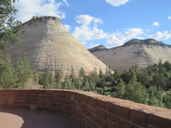 Checkerboard Mesa seen from the pullout on Zion's east side — a pale rounded dome of sandstone scored into a grid by horizontal cross-bedding and vertical cracks, ponderosa pines standing below it and a second white slickrock ridge beyond, viewed over a curved red sandstone parapet wall in the foreground.