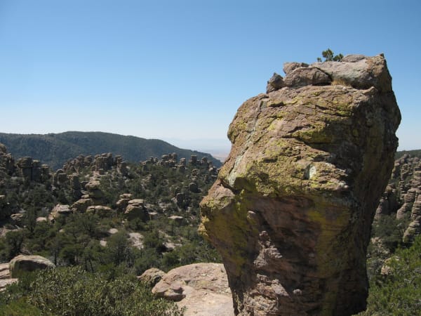 A rhyolite column in the Chiricahua Mountains, Chiricahua Apache homeland, standing close to the camera at the right of the frame — a blocky mass of welded tuff broken along horizontal joints, splashed yellow-green with lichen and carrying a small pine on its cap. Behind it a field of pinnacles and standing columns runs away to the left through pinyon and pine, a wooded ridge closes the middle distance, and a pale valley floor shows through the gap under a cloudless sky. The rock is ash from the Turkey Creek eruption, welded solid twenty-seven million years ago.