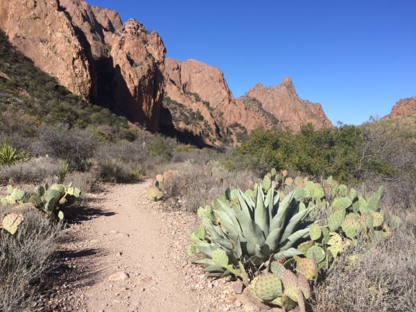 The Window Trail descending through agave and prickly pear toward the rock walls of the Chisos Mountains in Big Bend National Park.