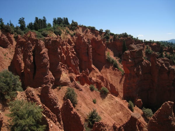 A steep amphitheater of deep red eroded rock ribbed into fins, spires and gullies, dropping away below a rim of dark conifers and green brush. Small pines and shrubs cling to the red slopes, and a hazy blue ridge closes the horizon at the right.