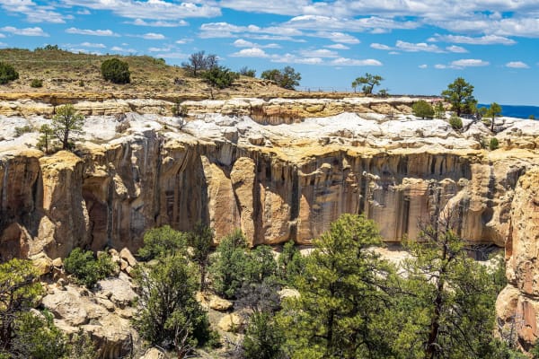 Pale sandstone cliffs of the box canyon at El Morro, seen from the mesa top among pinyon and juniper