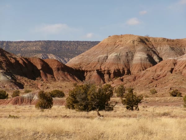 Banded red and white badlands above dry grassland and junipers at Ghost Ranch