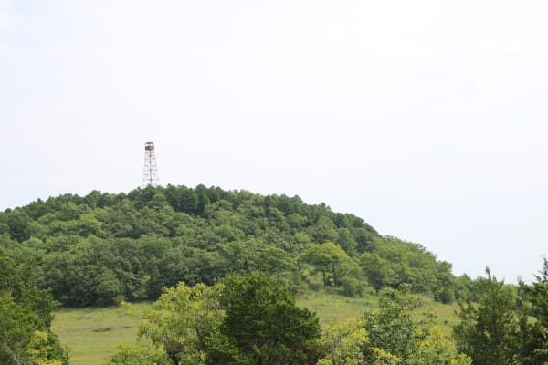 A wooded knob with a fire lookout tower rising above open glades along the Glade Top Trail.