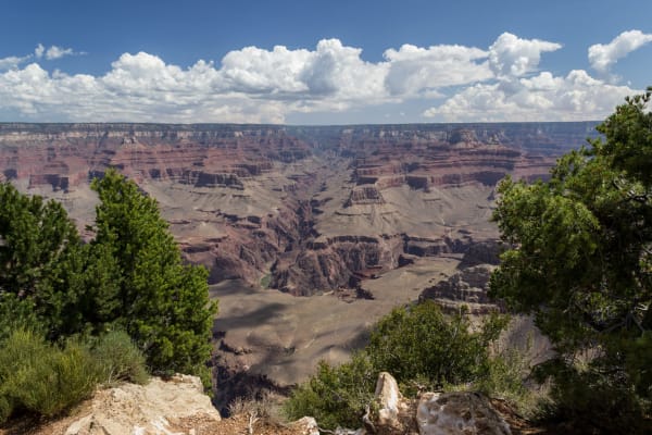 The Grand Canyon from the South Rim — layered red and grey terraces stepping down from the rim through the middle of the frame to a broad flat platform far below, with buttes and side canyons receding into blue haze toward the North Rim. Junipers and pale blocks of limestone frame the foreground at the rim edge, and towered white cumulus stands along the far skyline. The Colorado River is not visible from this angle.