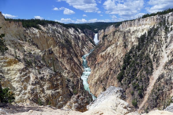 The Lower Falls of the Yellowstone dropping into the canyon far below Artist Point, its walls of pale yellow and white rock streaked with pines