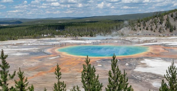Grand Prismatic Spring seen from the overlook above, a blue pool ringed with orange microbial mats, people on the boardwalk across the basin and lodgepole forest beyond