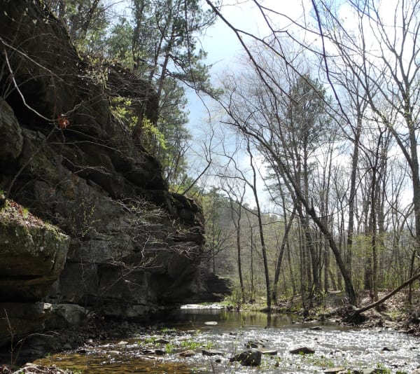 A sandstone bluff above a clear, shallow creek in early spring woods at Hawn State Park.