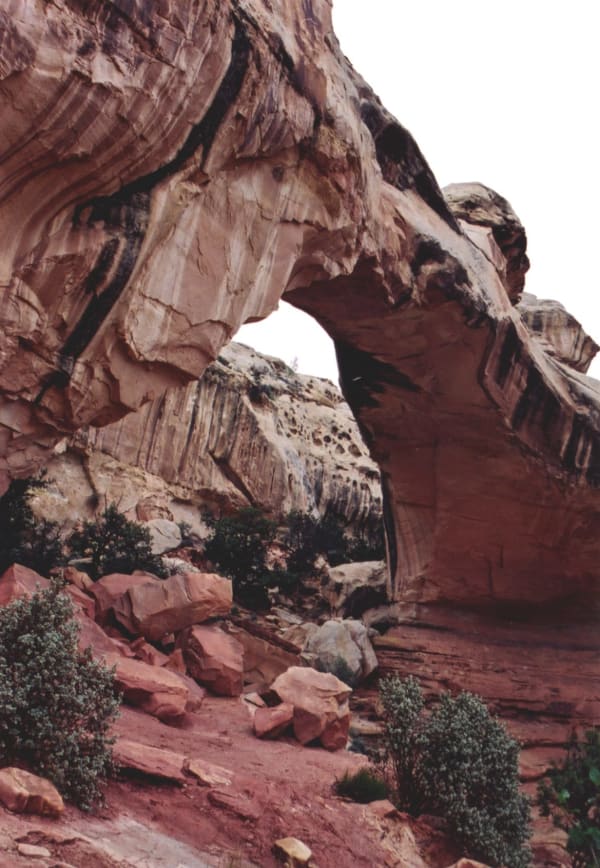 Hickman Bridge from below and to one side — a thick natural span of pale cross-bedded sandstone arching from the cliff at left across to a red buttress at right, with a small opening of white sky beneath it. Streaked and pitted rock fills the upper frame, and broken red slabs and desert shrubs cover the slope in the foreground.