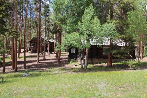 Log cabins of the Holzwarth homestead among lodgepole pines in the Kawuneeche Valley