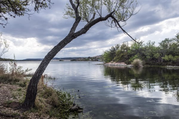A leaning tree on the rocky shore of Inks Lake, with a wooded island and low hills reflected in the calm water under clouds.