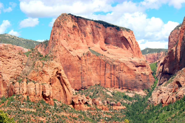 A finger canyon in the Kolob section of Zion — a massive red sandstone butte filling the frame, its face streaked with dark desert varnish and hollowed by shallow alcoves, a dark timbered ridge along its top, and further red walls stepping away on both sides above green pinyon and juniper slopes, under blue sky with cumulus.
