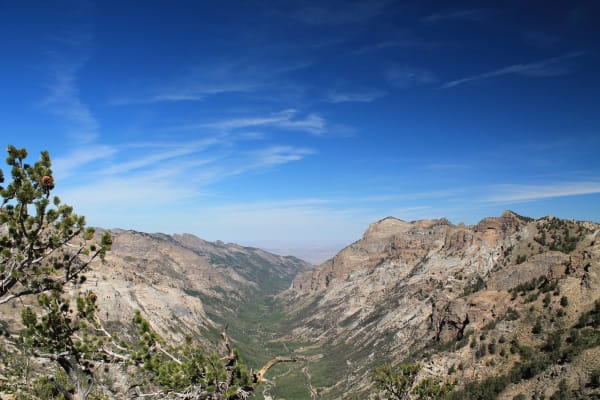 Lamoille Canyon in the Ruby Mountains seen from high on its rim, a broad U-shaped glacial trough running away toward a hazy valley beyond, its floor green with the canyon road threading along it. Grey rock walls rise on both sides, the right-hand ridge notched into towers and buttresses, with a pine bough in the near foreground at the left.