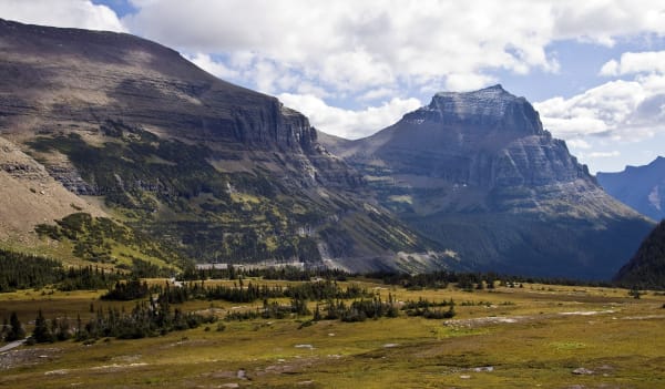 The open meadows of Logan Pass beneath layered cliffs and a flat-topped peak, scattered firs on the slope