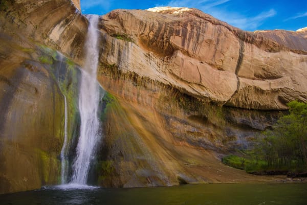 Lower Calf Creek Falls dropping in a single white ribbon down a tall sandstone wall into a dark green plunge pool. The rock beside the water is streaked ochre, rust and grey and hung with moss and algae where the spray reaches, and a great overhanging cliff of desert-varnished sandstone curves away to the right above a strip of streamside willows. Sunlight catches the rim at top right under blue sky.