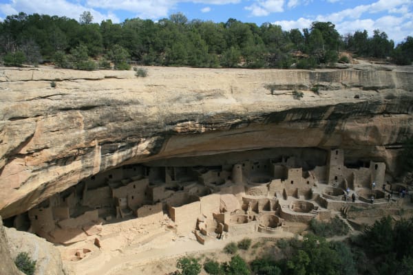 Cliff Palace in its sandstone alcove at Mesa Verde, seen from the trail