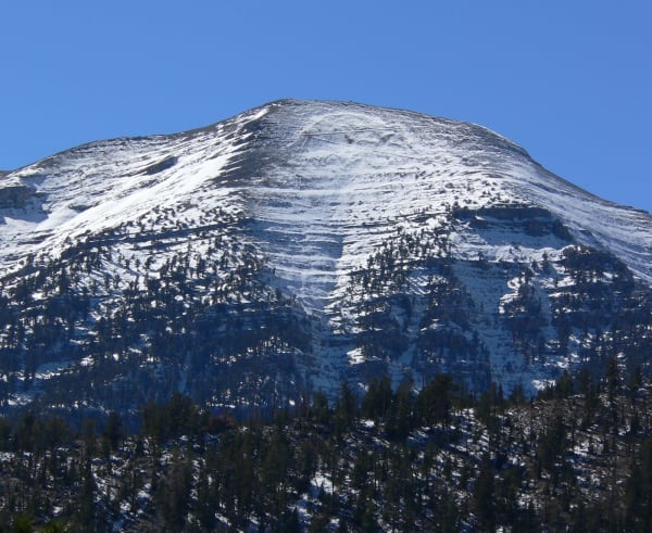 A high peak in the Spring Mountains seen from below, snow lying in streaks and patches across its pale rounded summit slopes, dark conifer forest covering the lower flanks and deep blue sky above.