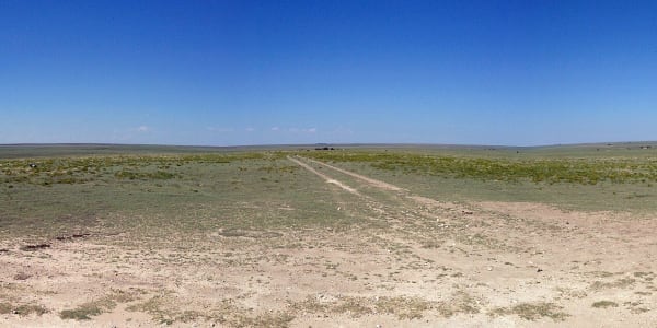 Flat shortgrass plains stretch to the horizon from the summit of Mount Sunflower, a two-track running away across the pasture.