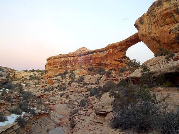 Owachomo Bridge at dusk in Natural Bridges National Monument — a thin ribbon of pale gold sandstone spanning the frame from left to right, narrowing to a slender strip at its centre and running into a massive rounded knob of rock at the right end, the rock mound the bridge is named for in Hopi. Open sky shows through the opening beneath it. In front and below, a slickrock drainage steps down toward the camera in shelves of grey and rose stone holding shallow pools of standing water, with juniper and low brush scattered across the slabs and a pale pink sky above the canyon rim.