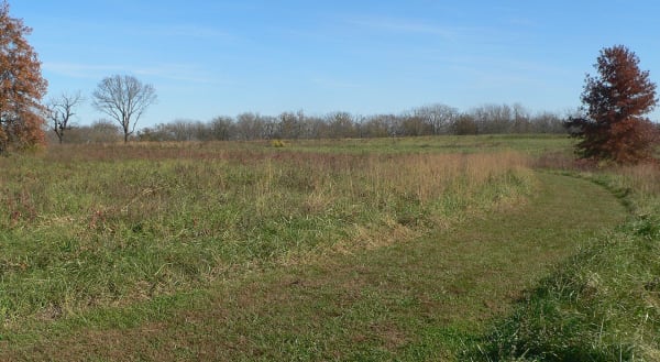 A mown path crossing the grassy hilltop of the Osage Village State Historic Site in autumn.