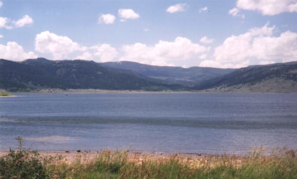 Panguitch Lake under a summer sky — dark ripples running across open water to the far shore, where a few small buildings sit among the trees at the foot of long forested ridges that step back into haze. Tall grasses and a low shrub stand along a sandy beach in the foreground, and banks of cumulus fill the upper half of the frame.