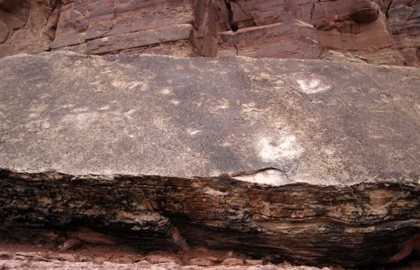 A long grey slab of rock tilted at the base of a red sandstone cliff, its upper face pitted with several rounded three-toed depressions. The rock beneath the slab is dark and finely layered, and the cliff behind rises in blocky red courses.