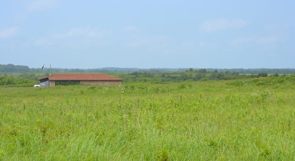 Green tallgrass prairie rolling toward the low visitor center at Prairie State Park in summer.