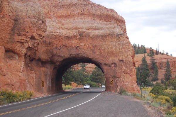 The highway arch at Red Canyon — Scenic Byway 12 curving through a tunnel cut clean through a mass of red rock, its portal marked with black and yellow chevron boards on both sides, and two white cars coming toward the camera from beyond it. Ponderosa pines and red slopes rise at right, yellow rabbitbrush lines the verge, and the sky above is flat white overcast.