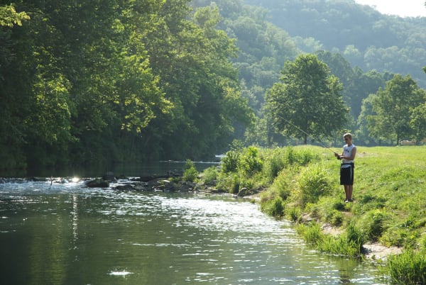 An angler on the grassy bank of the clear Roaring River below wooded Ozark hills.