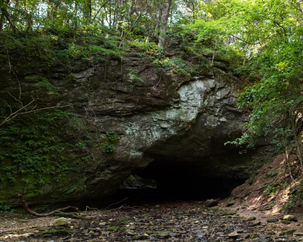 The dark opening of the natural rock tunnel at Rock Bridge, framed by mossy limestone and summer trees.
