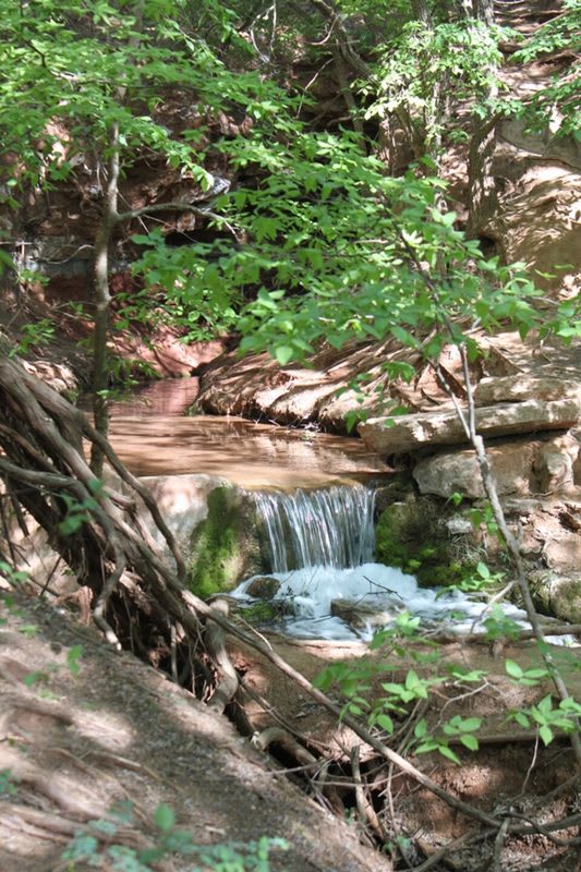 A small spring-fed cascade among trees and rocks at Roman Nose State Park.