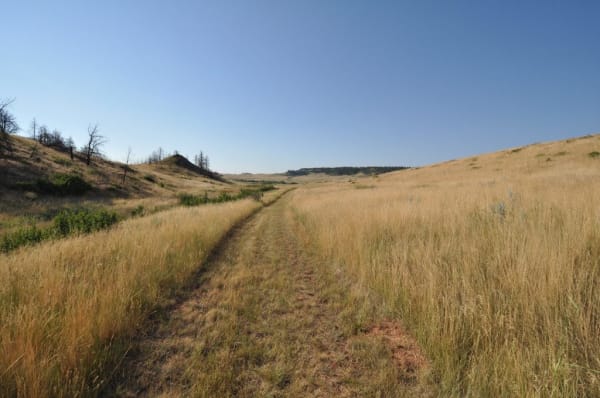 A grassy two-track running south along the Rosebud Creek valley at the battlefield, low pine-dotted ridges on either side