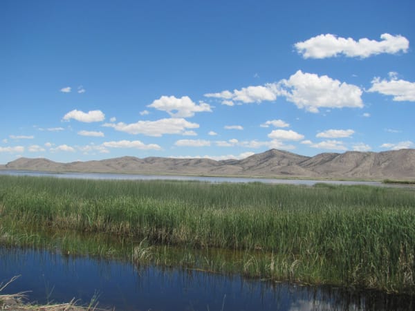 A marsh channel at Ruby Lake National Wildlife Refuge, still dark water in the foreground reflecting the reeds, a wide belt of green bulrush running across the middle of the frame and open water beyond it. A low bare desert range closes the horizon under a blue sky with fair-weather cumulus.