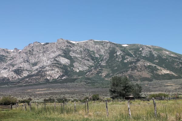 The Ruby Mountains rising above the floor of Ruby Valley in Newe Sogobia — grey granite crags and green slopes with snow still lying along the crest, a sagebrush bench below them, and in the foreground a weathered pole-and-wire fence running across rough meadow grass. A cottonwood and a low ranch outbuilding stand at the right.