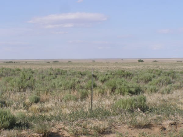 Shortgrass and sage on the open plain at the Sand Creek Massacre National Historic Site