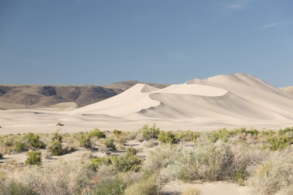 Sand Mountain rising from the floor of the Salt Wells basin — a pale, sharply crested dune with smooth wind-carved flanks and a long curving ridgeline, standing well above the flat desert around it. A low dark range runs behind it on the left, grey-green greasewood and rabbitbrush fill the foreground, and faint vehicle tracks mark the lower slopes.