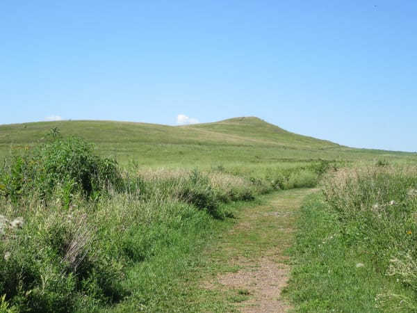 A mown path through restored prairie grass leading toward the low green summit of Spirit Mound