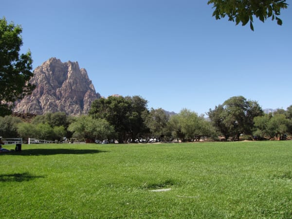 A broad mown lawn at Spring Mountain Ranch running back to a line of cottonwoods and willows, the jagged red and grey Wilson Cliffs rising steeply behind them and the leaves of a shade tree overhanging the top of the frame.