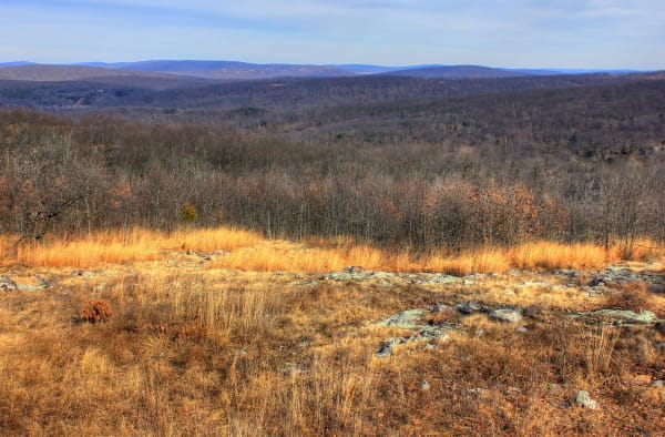 A view across golden glade grasses and bare winter woods toward the rolling St. Francois Mountains from Taum Sauk Mountain.