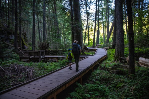 A park ranger and a child walking away along the boardwalk of the Trail of the Cedars through tall redcedar and hemlock