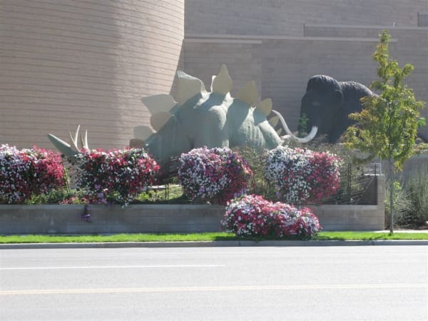 Life-size dinosaur and ice-age animal replicas in the garden at the Utah Field House of Natural History, seen from across the street — a pale green Stegosaurus with cream back plates, a dark shaggy mammoth with curved tusks behind it and a set of antlers at the left, standing above a low block wall crowded with pink, white and purple petunias. The museum's tan brick walls rise behind, with a young street tree, a grass verge and the empty roadway in front.