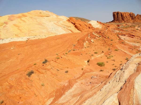 Cross-bedded sandstone at Valley of Fire — a pale cream dome on the left giving way to swirled orange and deep red slickrock running down to the right, small desert shrubs rooted in the hollows and a red butte standing on the skyline.