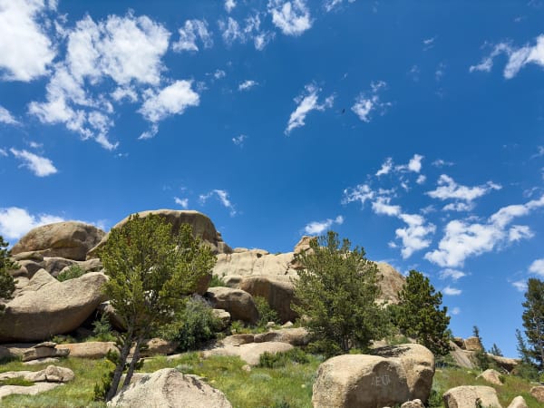 Rounded granite boulders of Vedauwoo stacked among pines and grass under a blue sky with scattered clouds