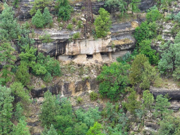 Cliff dwellings built by the Hisatsinom — the people archaeologists call Sinagua — set into a limestone overhang partway down the wall of Walnut Canyon. Three dark doorways stand in a row behind masonry front walls of thin flat stone, tucked back under a pale undercut ledge with the rock banded grey and cream above and below them. Pines, junipers and agave grow thickly across the slope on either side and below, and the whole frame is the opposite canyon wall seen from across the gorge.