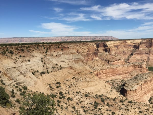 The Little Grand Canyon seen from the Wedge Overlook — pale cross-bedded sandstone slopes dropping away in long benches to a deeper red-banded inner canyon at the right, junipers scattered over the rock and one standing in the near foreground. A long flat-topped mesa wall closes the horizon under a blue sky streaked with cirrus.